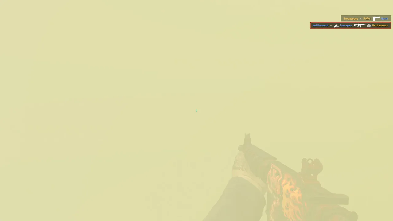 highlight